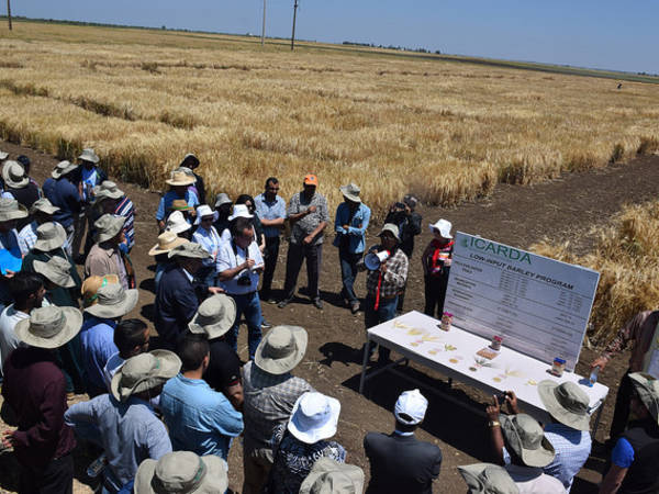 The Marchouch research station near Rabat is host to a model crop improvement program.