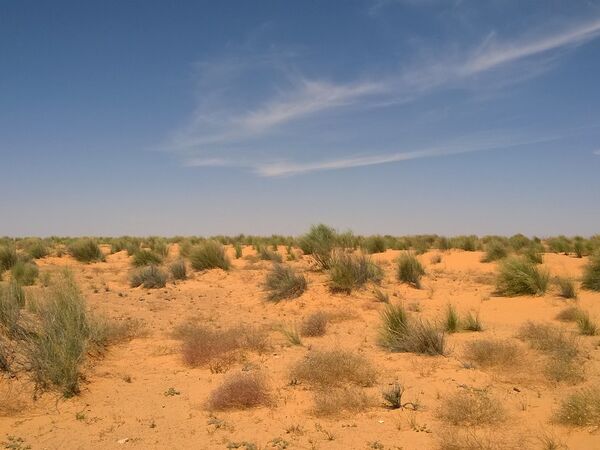 Rangelands in Tunisia require urgent land tenure and governance reforms.