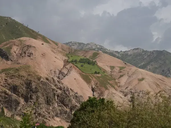 A protected plot on a degraded hillside in the Vazrob Valley, Tajikistan
