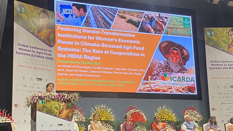 ICARDA at GCWAS 2026