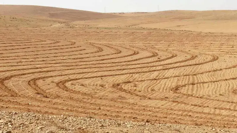 Constructing micro-catchments through the use of Vallerani plows is enhancing water harvesting in Jordan.