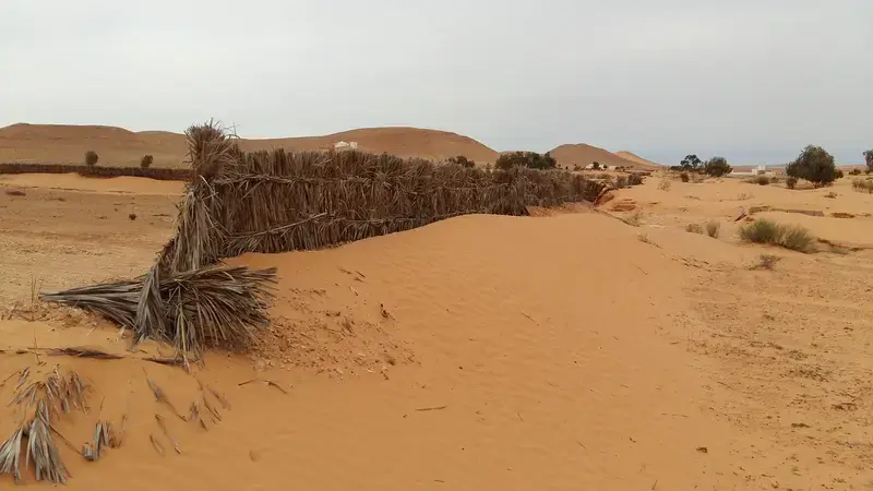 Shifting gender roles across Tunisia rangelands 