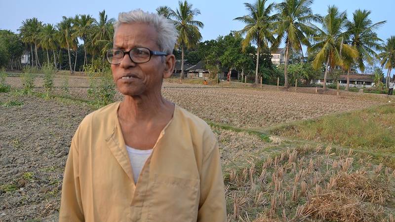 Farmers in India are cultivating land left fallow after rice harvests