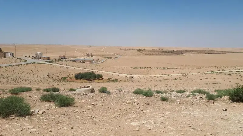 Engaging women in business development in Jordan. Photo: ICARDA