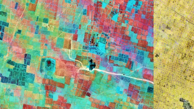 ICARDA has developed a geoinformatics-based decision support tool that targets sustainable pulse intensification in rice fallows
