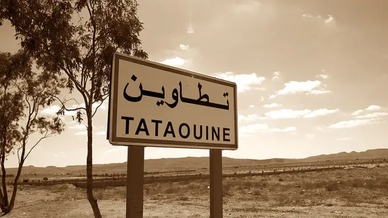 The region of Tataouine is dominated by pastoral and agro-pastoral production systems 
