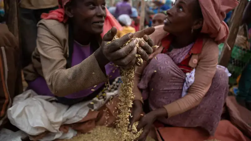 Photo by J. Turner/IRI.