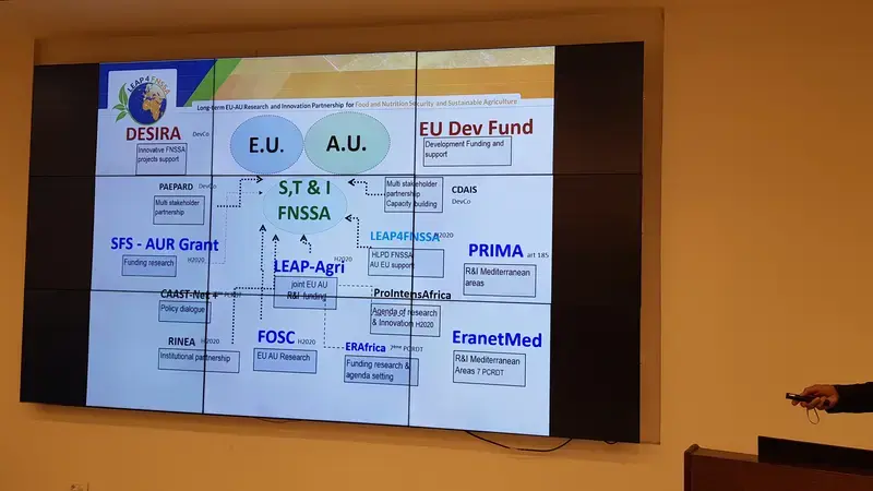 Funding networks and mechanisms  to support EU AU FNSSA R&I