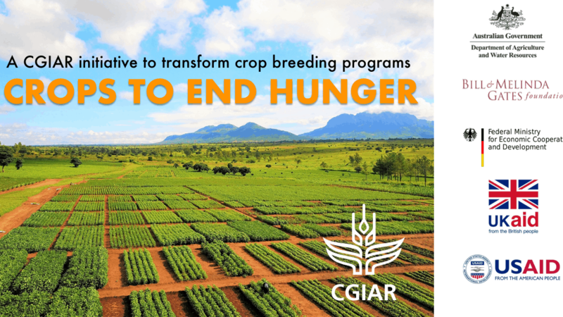 Crops to end hunger