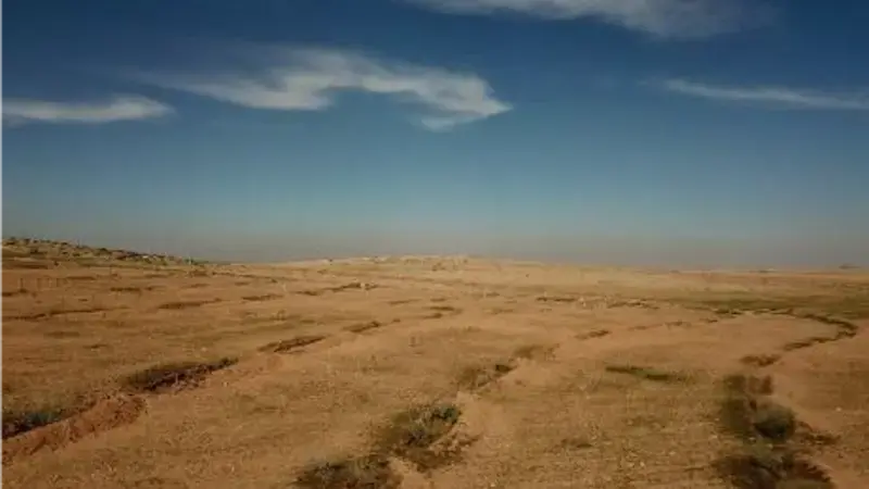 Aerial imaging showing micro 9 water harvesting catchment treatment after planting