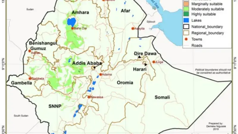  Land suitability map for faba bean var. Doshaas established in the present study