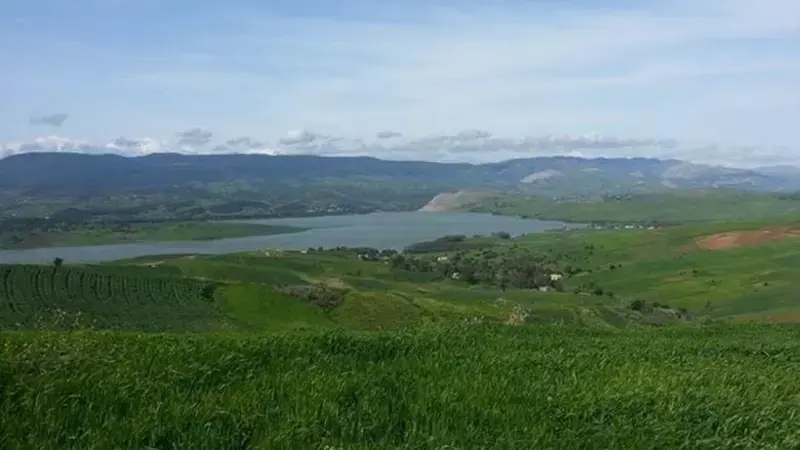 Crop rotation known as spatial and temporal alternation of crops with different root geometry and secretion of exudates is believed to break life cycle of soil born diseases and pests and largely influence the rizhosphere and the microorganisms