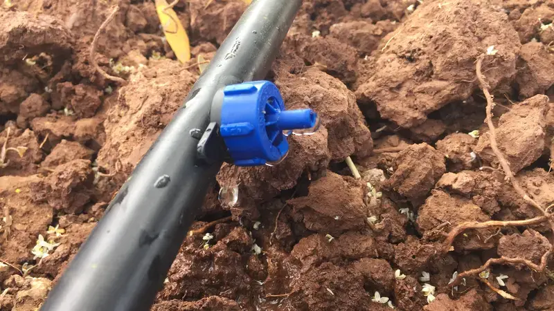 Ultra-Low Energy Drip Irrigation: MIT emiter (photo credti ICARDA)