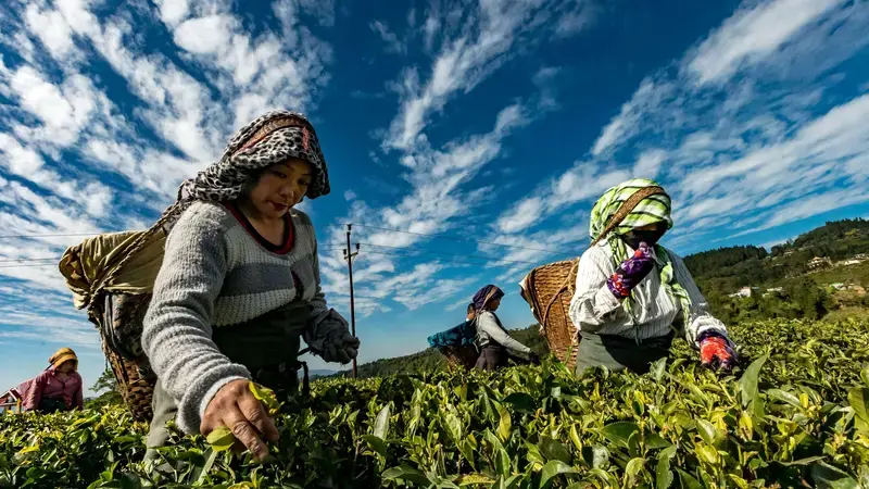 Land Rights