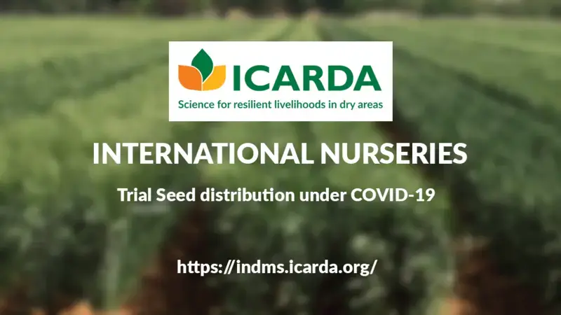 Order your trial seeds now!