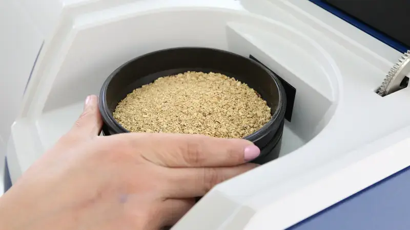 Lebanon Seed Support