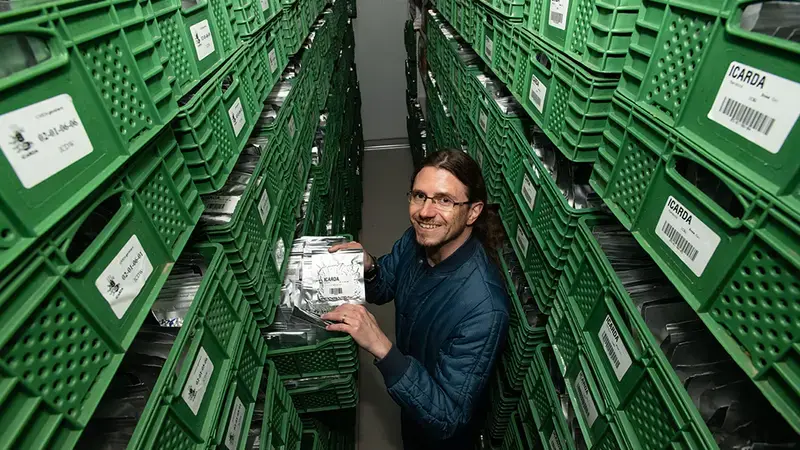 Genebank Manager Athanasios Tsivelikas in base collection cold room, Rabat, Morocco. Photo: Michael Major/Crop Trust