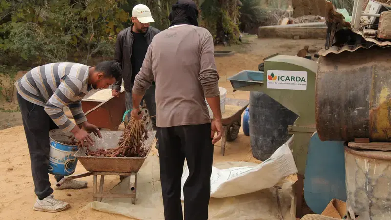 Photo by Zied Idoudi