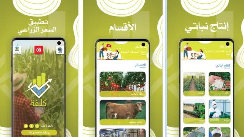Kolfa app Tunisia