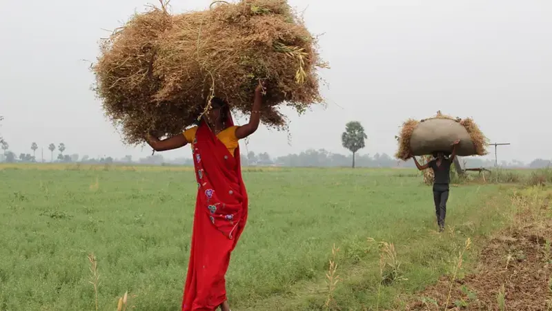 Female farmer in India