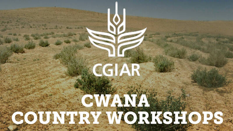 CWANA Workshops