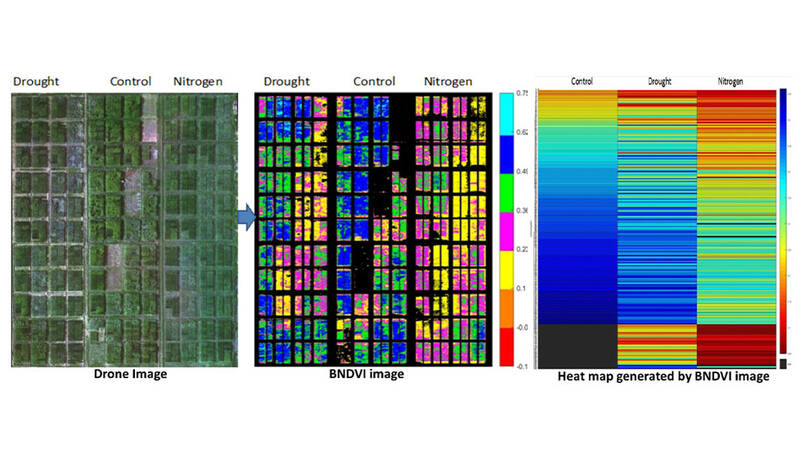 Remote sensing plays a crucial role in providing weather parameters for future accurate predictions and decisions.