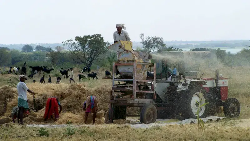 IKRI catalog of indigenous knowledge [credit: C. Biradar]