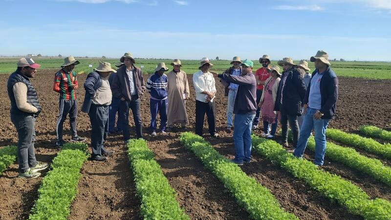 Dr. Devkota describes her lentil/quinoa relay-cropping experiment to Moroccan farmers