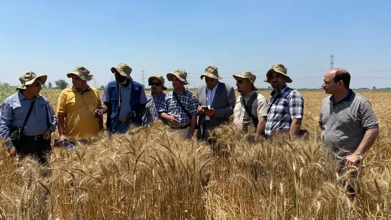 FAO-ICARDA Training Workshop for Iraqi Researchers
