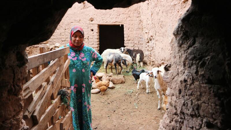 Traditional household in a Moroccan city.