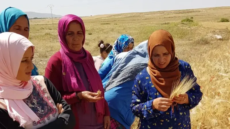 Female empowerment training in Central Tunisia 