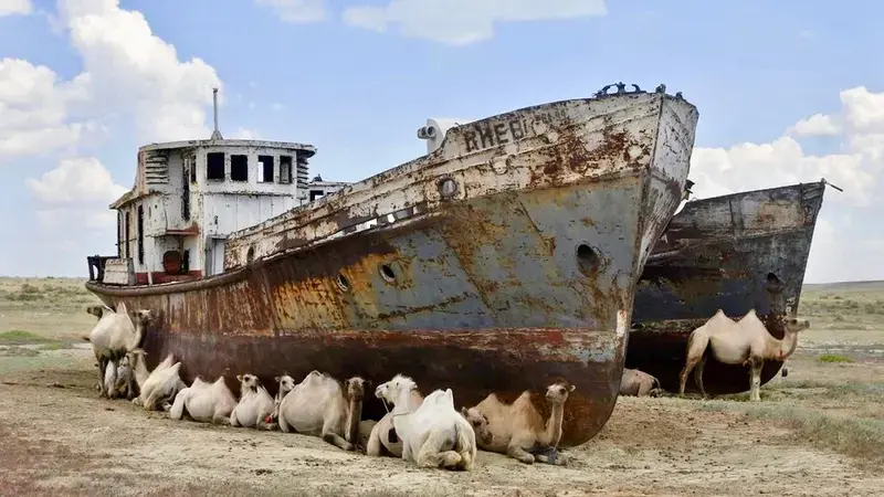 Balancing Stakeholder Priorities for Sustainable Land Management