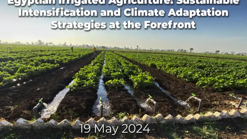 Workshop Egyptian Irrigated Agriculture