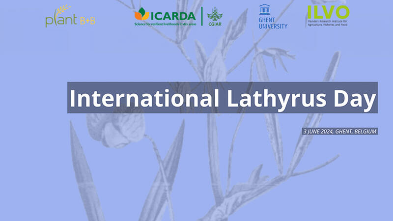 International Lathyrus Day 2024