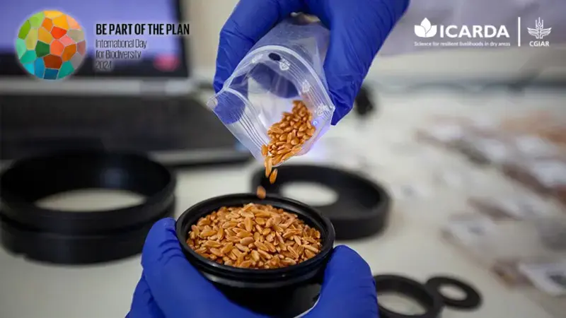 International Day of Biological Diversity 2024