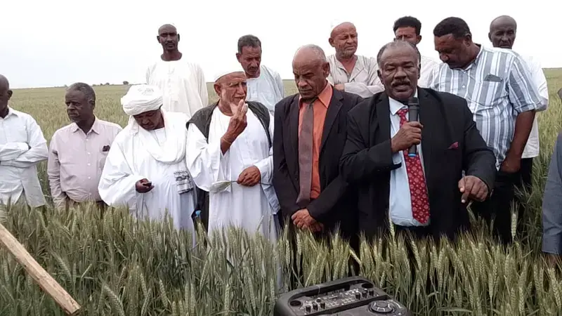 His Excellency (HE) Khider Ramadan, Minister of Agriculture of Kassala State (left) and HE Abu Baker Omer Abushra, Federal Minister of MoA (right) making a statement during the field day.