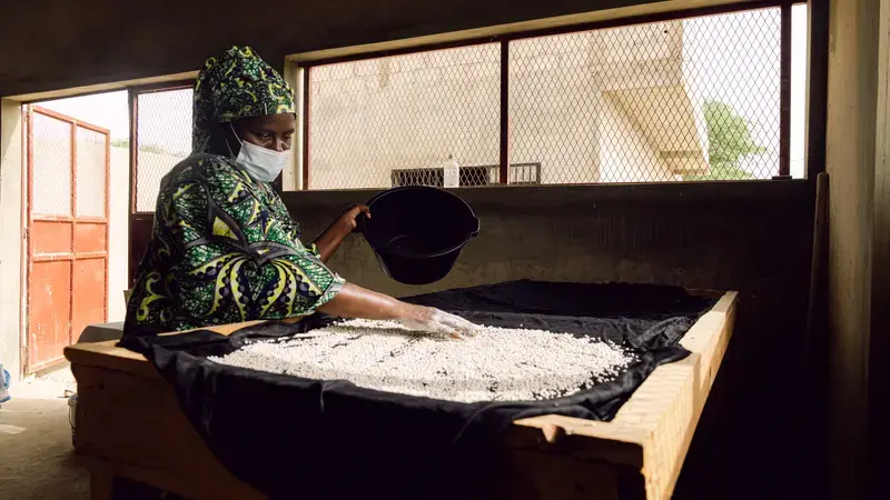 A member of the women’s cereal processing and production group in Sanar Walof village near Saint-Louis, Senegal. Photo Credit: Ollivier Girard/ICARDA