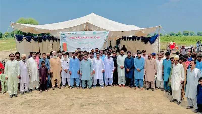 Farmer Field Days Demonstrate Climate-Smart Fertilizer Practices Across Punjab and Sindh