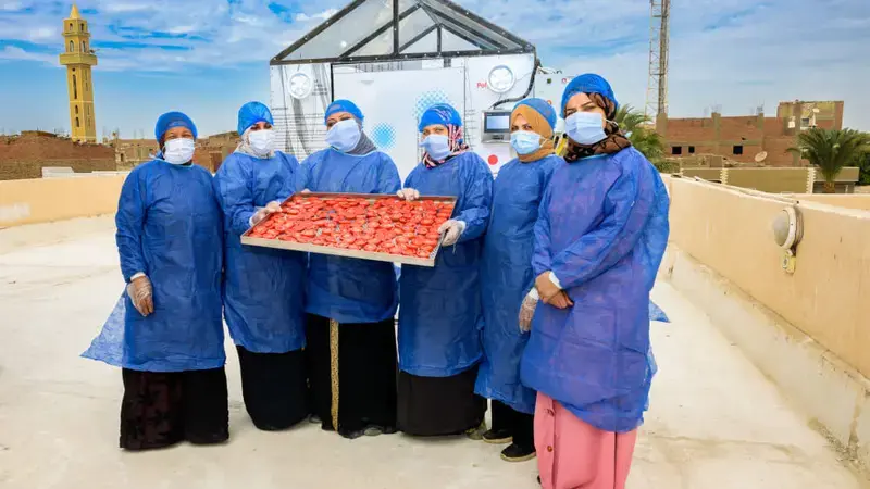 Women-led post-harvest initiatives in Egypt