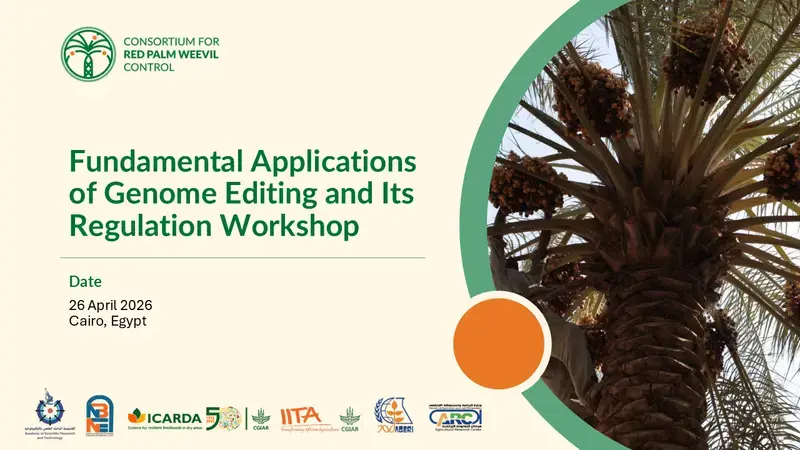 GEd Workshop E-Banner 