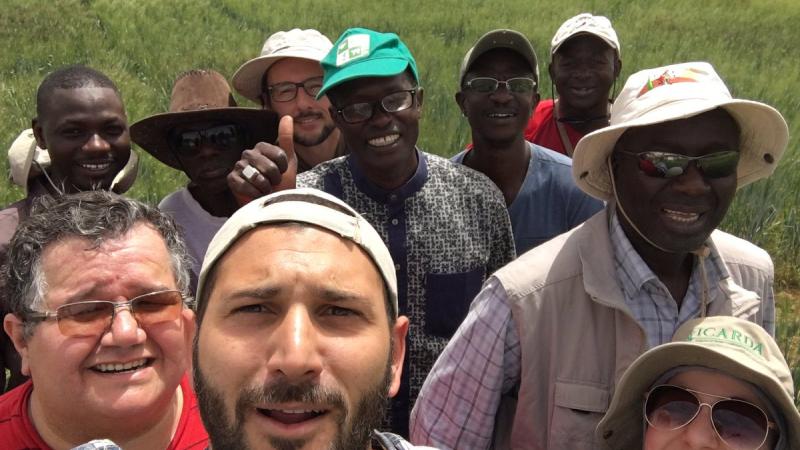 Durum wheat team in Senegal, Photo by: Filippo M.Y. Bassi (twitter @fillobax)