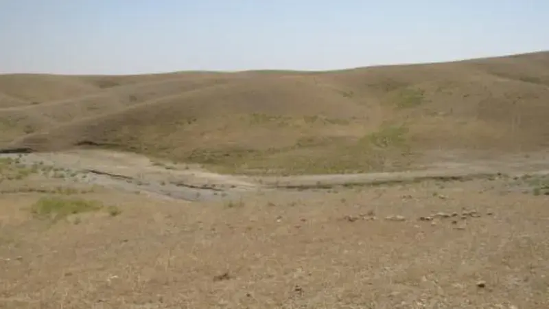 Can the initiative reverse years of degradation across the Arabian Peninsula?