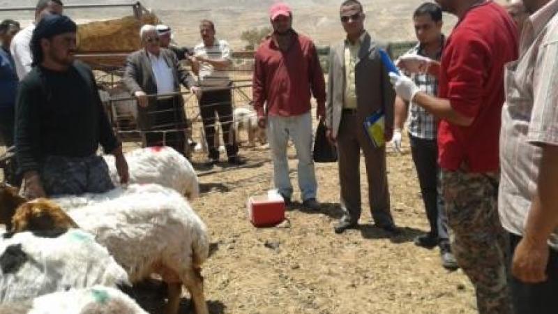 Livestock help strengthen community resilience against the effects of climate change