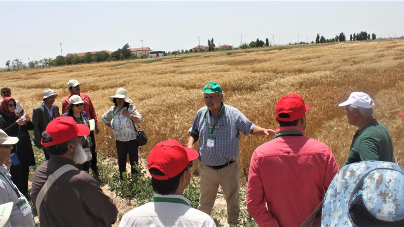 International scientists gather in Turkey for a traveling seminar to share the latest developments on winter wheat
