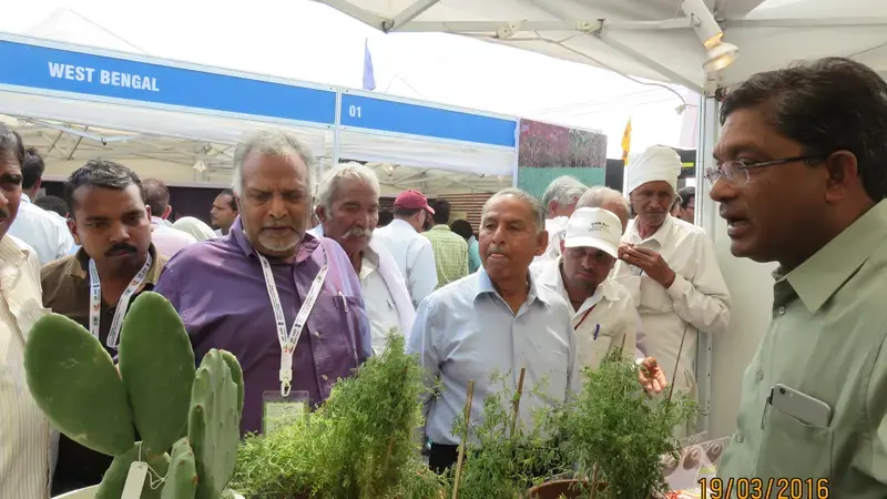 Dr. Ashutosh Sarker giving live demonstration of spineless cactus to interested farmers