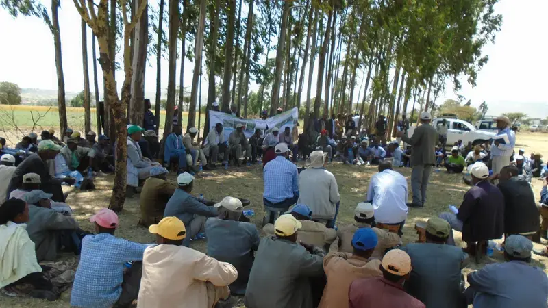 ICARDA and partners organized a field day on faba bean, chickpea and malt barley seed production this past October. 
