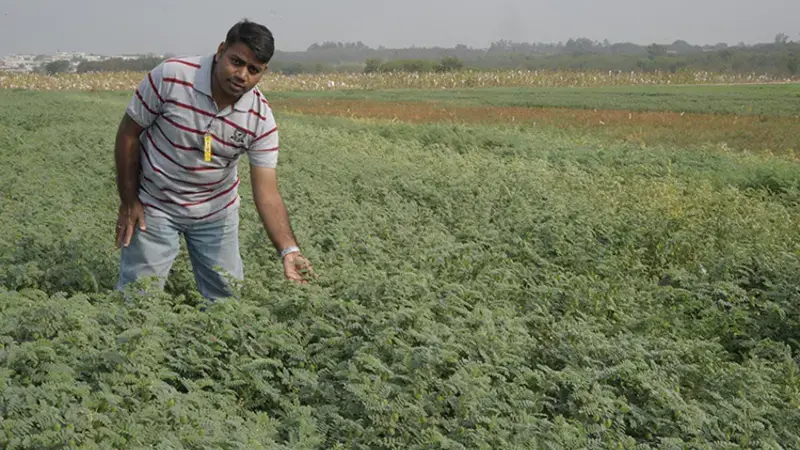 Dr. Rajeev Varshney in the fields helping to increase crop production. Photo courtesy of the Integrated Breeding Platform