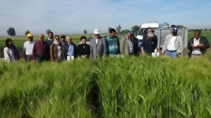 Scientists highlighted the achievements of recent research and identified needs for the coming season.