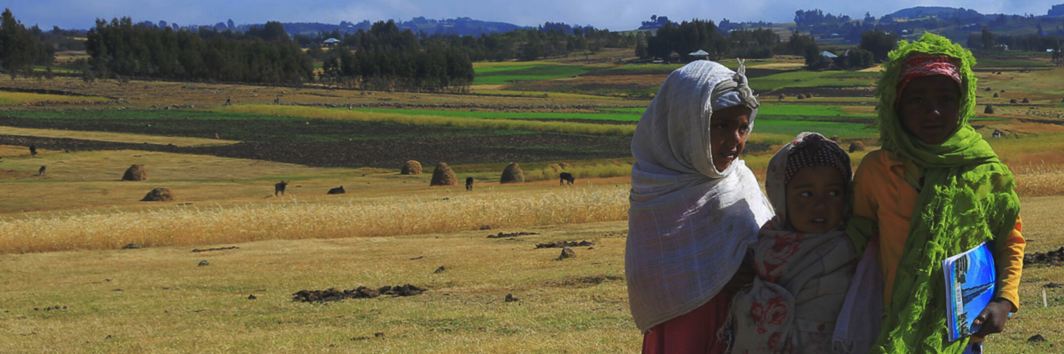 Strengthening women’s resilience and participation in climate governance in the agrifood sector through public policies