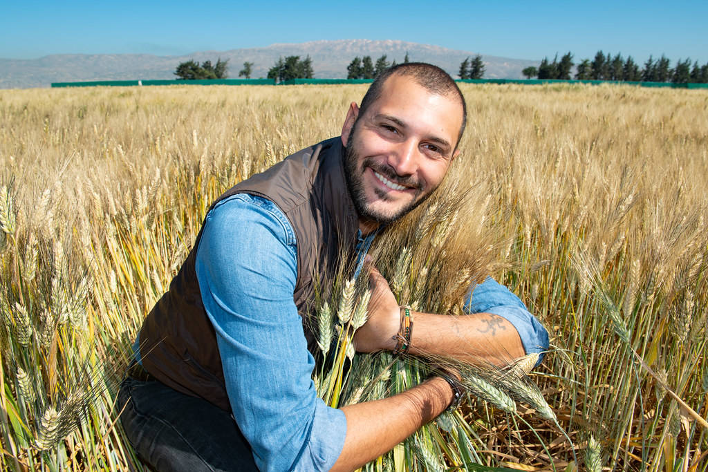 Filippo Bassi, Senior Scientist - Durum Breeder, Breeding programs (Wheat Barley Legumes) at the ICARDA Terbol Station, Lebanon
